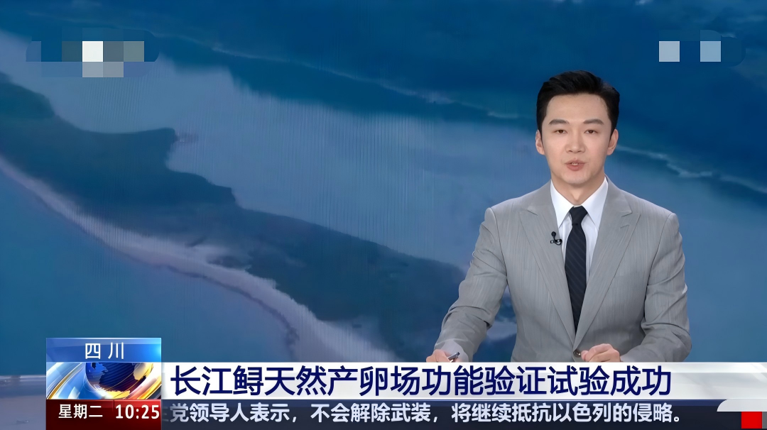 图片1(1).png
