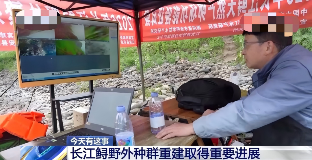 图片2(1).png